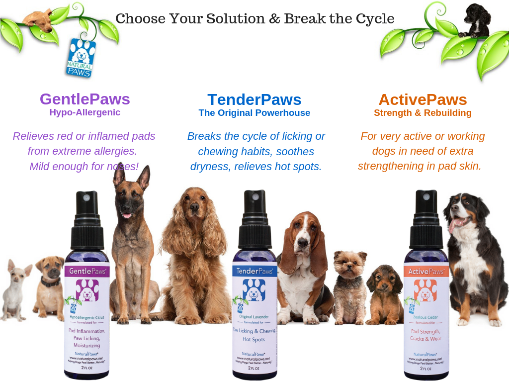 Natural Paws - Wholesale Pet Spray - Dog - GentlePaws4