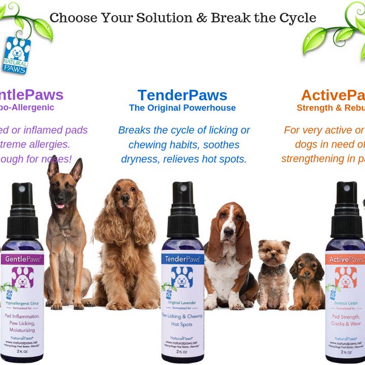 Natural Paws - Wholesale Pet Spray - Dog - GentlePaws4