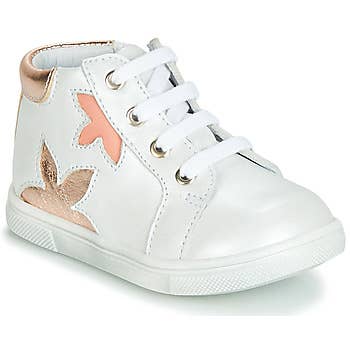   ALEXA for wholesale on Faire0