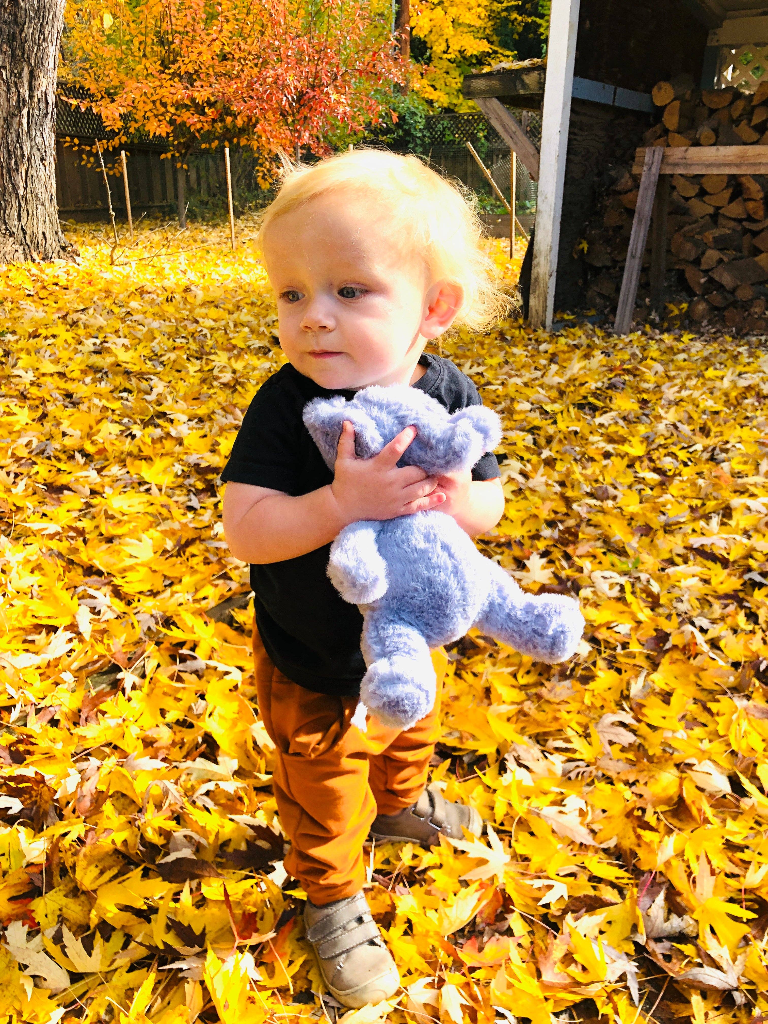 Firefly Delights LLC - Wholesale Stuffed/Plush Toy - Kids & Baby - Elephant Plush Toy5