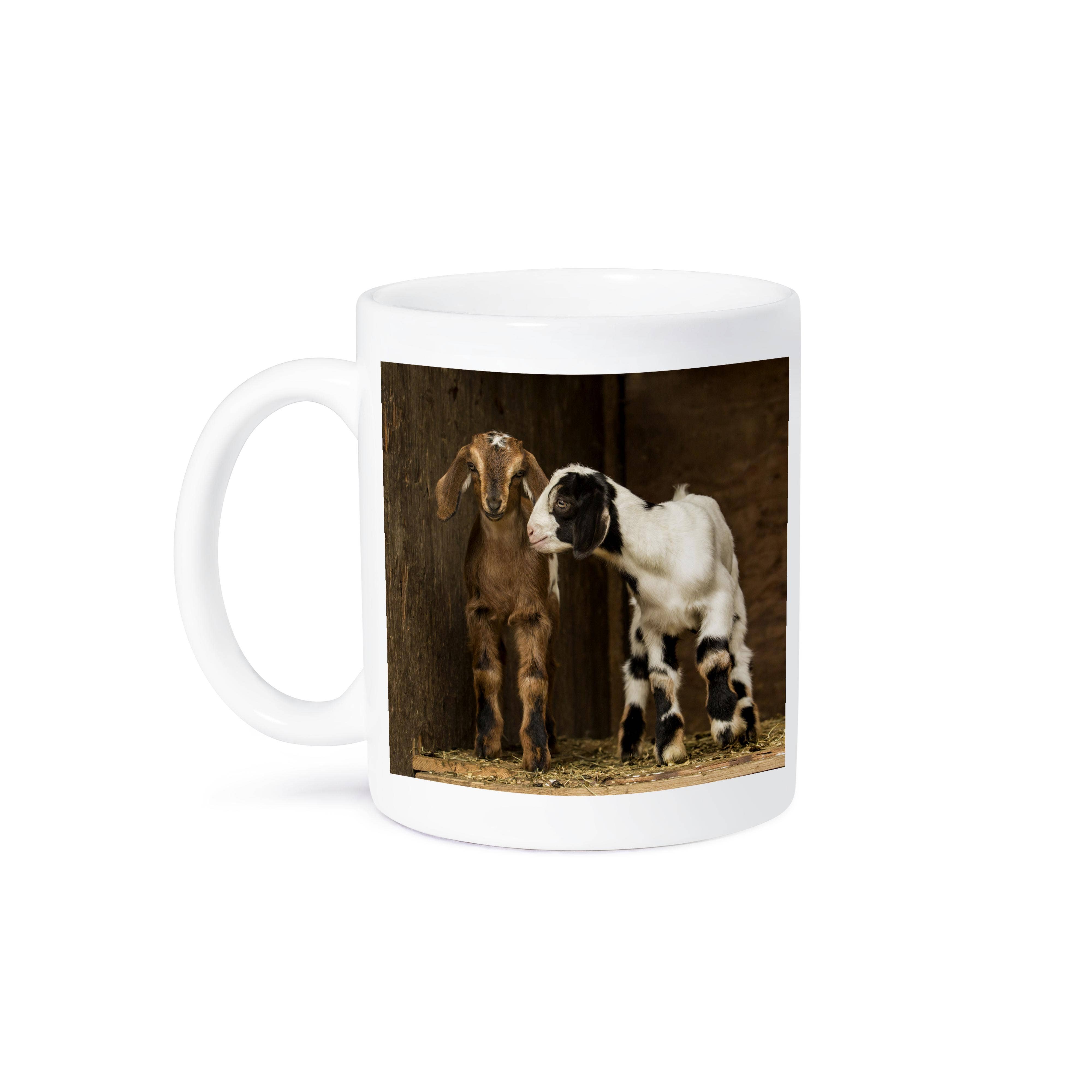 3dRose - Wholesale Coffee Mug - 3dRose, Two Twelve day old mixed breed goat kids., Mug8