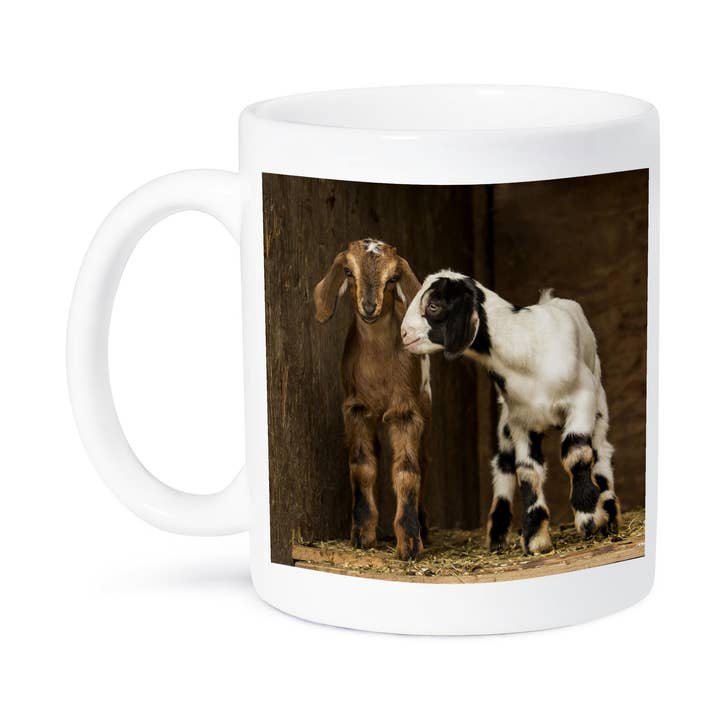 3dRose - Wholesale Coffee Mug - 3dRose, Two Twelve day old mixed breed goat kids., Mug8