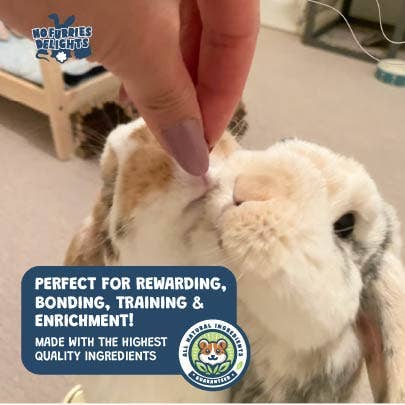 No Furries Delights – Suplemento para animais de estimação – Excluindo cães/gatos por atacado – Binky Chips | Bolso de pílula para pequenos animais9