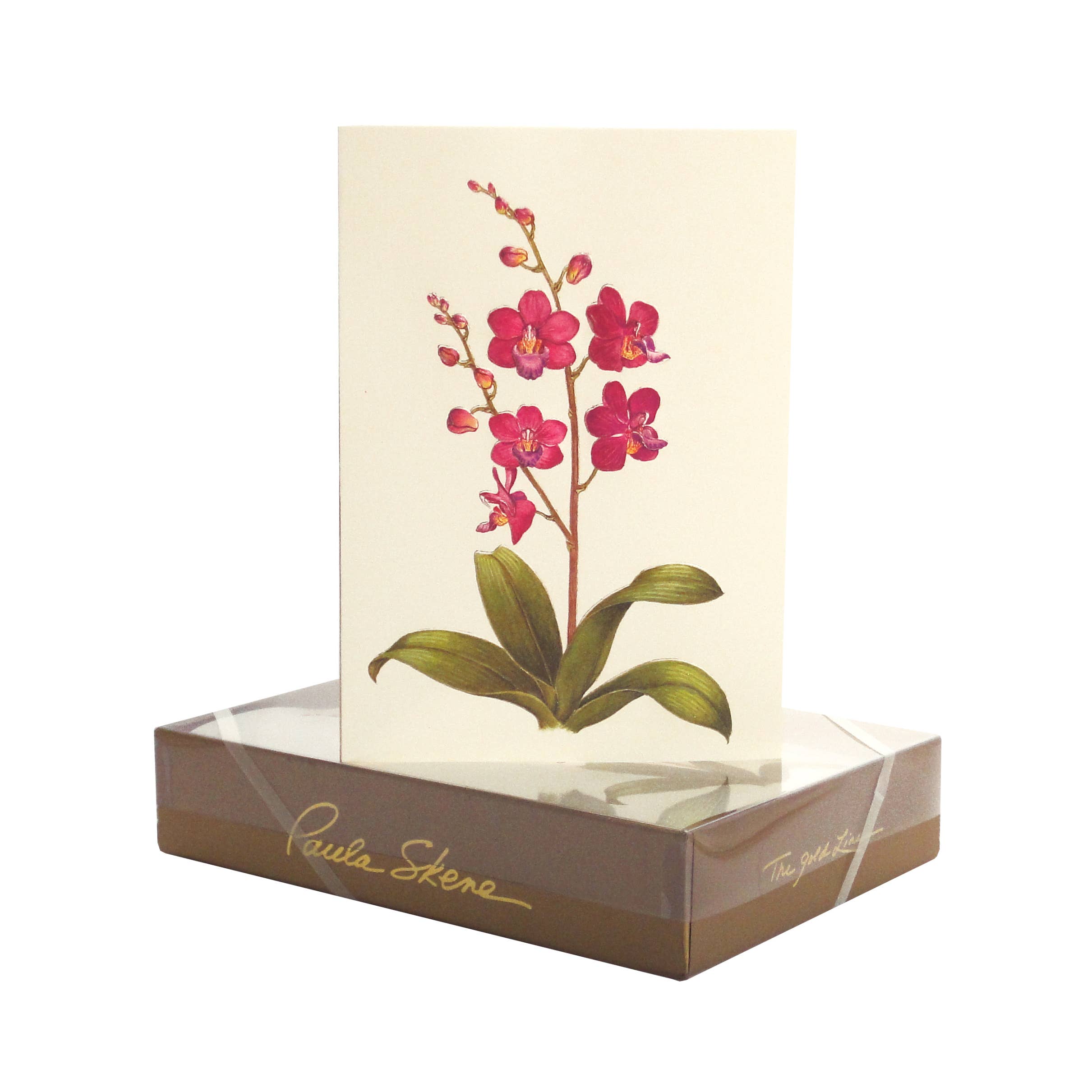 PAULA SKENE DESIGNS - Wholesale Sympathy Card - Orchid Sympathy Card