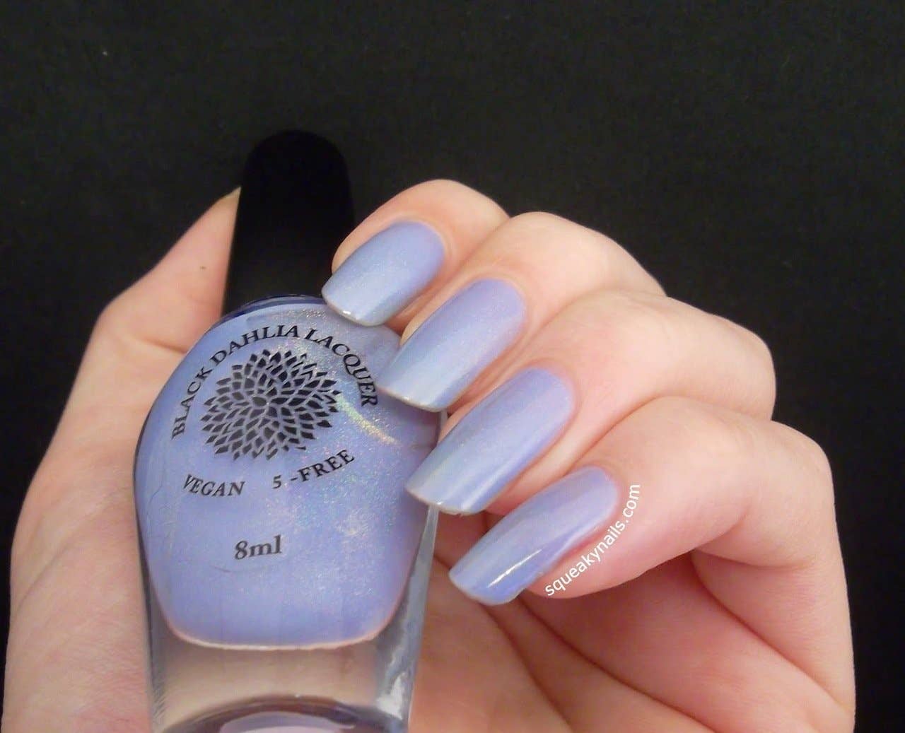 Black Dahlia Lacquer – wholesale Nail polish – African Violets6