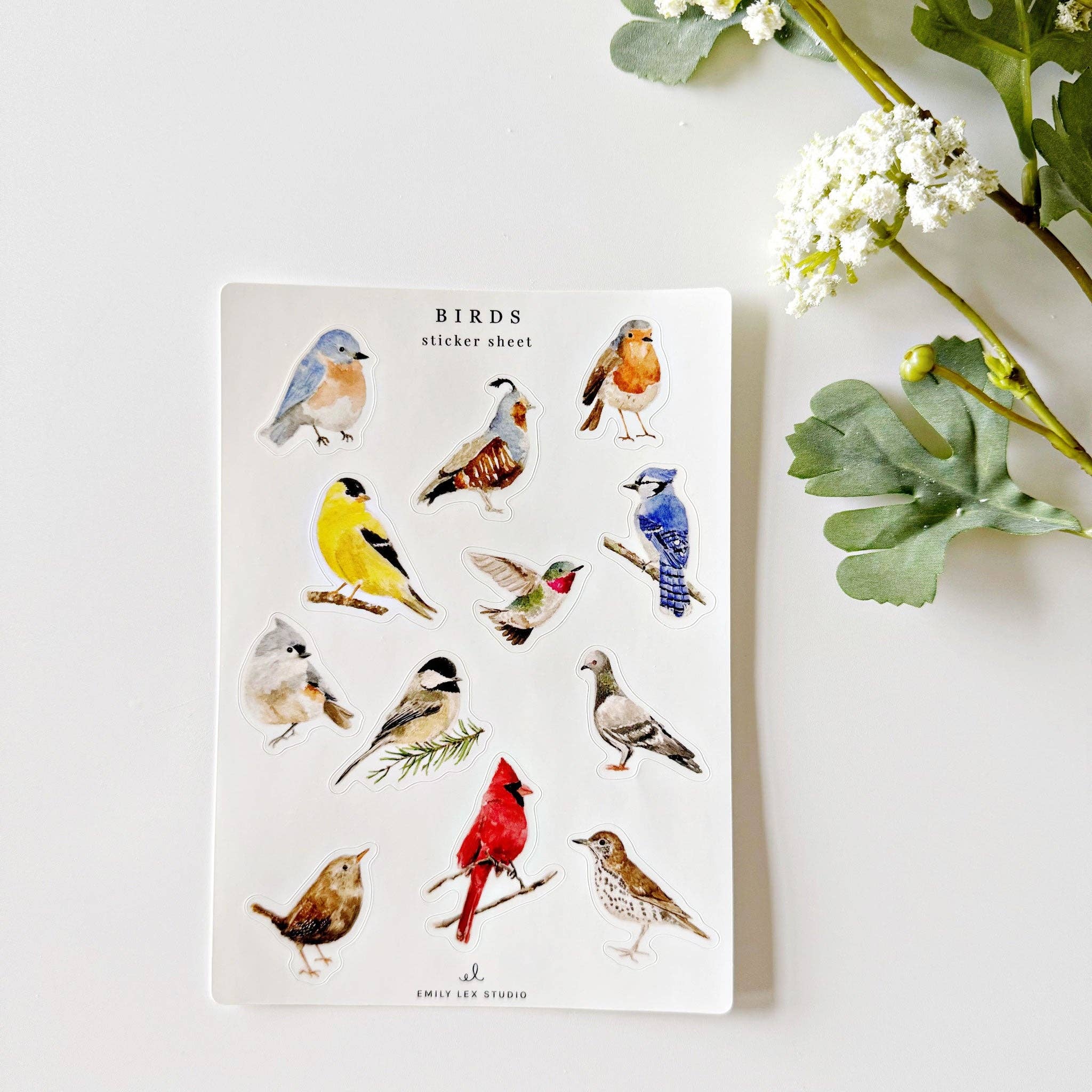 emily lex studio - Wholesale Sticker - birds sticker sheets1