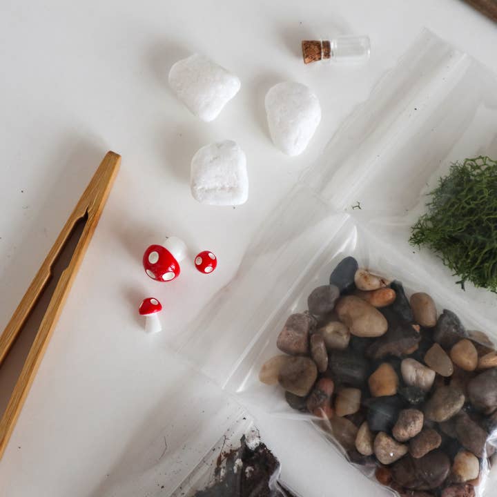 The Plant Supply - Wholesale DIY Craft Kit - DIY Terrarium | Glass Plant Terrarium Kit5