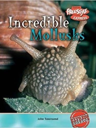 Incredible Molluscs - Incredible Creatures by John Townsend for wholesale by Boon Books