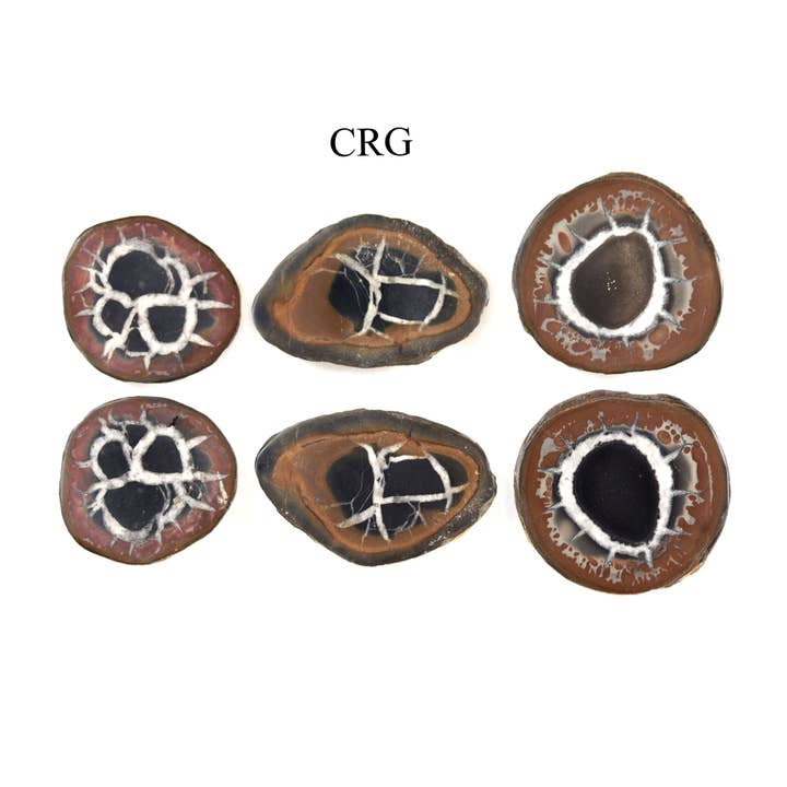 ANTAL 1 - Septarian Nodules Par från Marocko/ 12-20mm Avg för wholesale av Crystal River Gems LLC