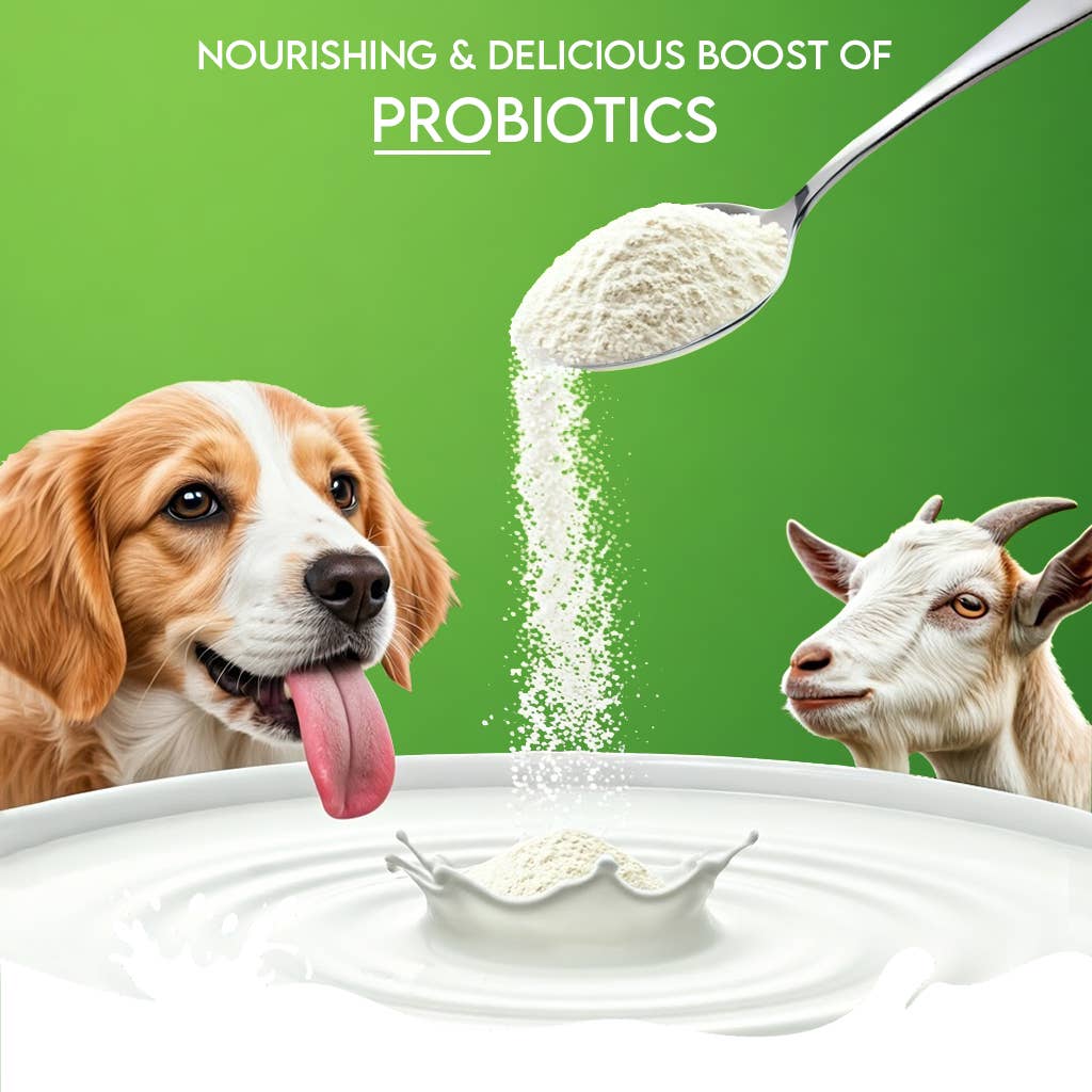 Pawfect Foods – wholesale Pet supplement – Dog – Pawfect Nature's Sip 100% Natural Goat Milk Powder for Dogs & Puppies| Easily Digestible| Source of Vitamins, Minerals, Probiotics| Healthy Topper| Hydration Support3