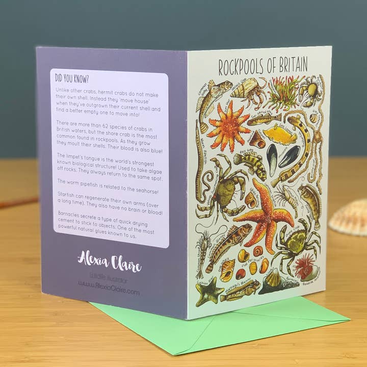 Alexia Claire Ltd - Wholesale Everyday Greeting Card - Rockpools of Britain Art Blank Greeting Card1