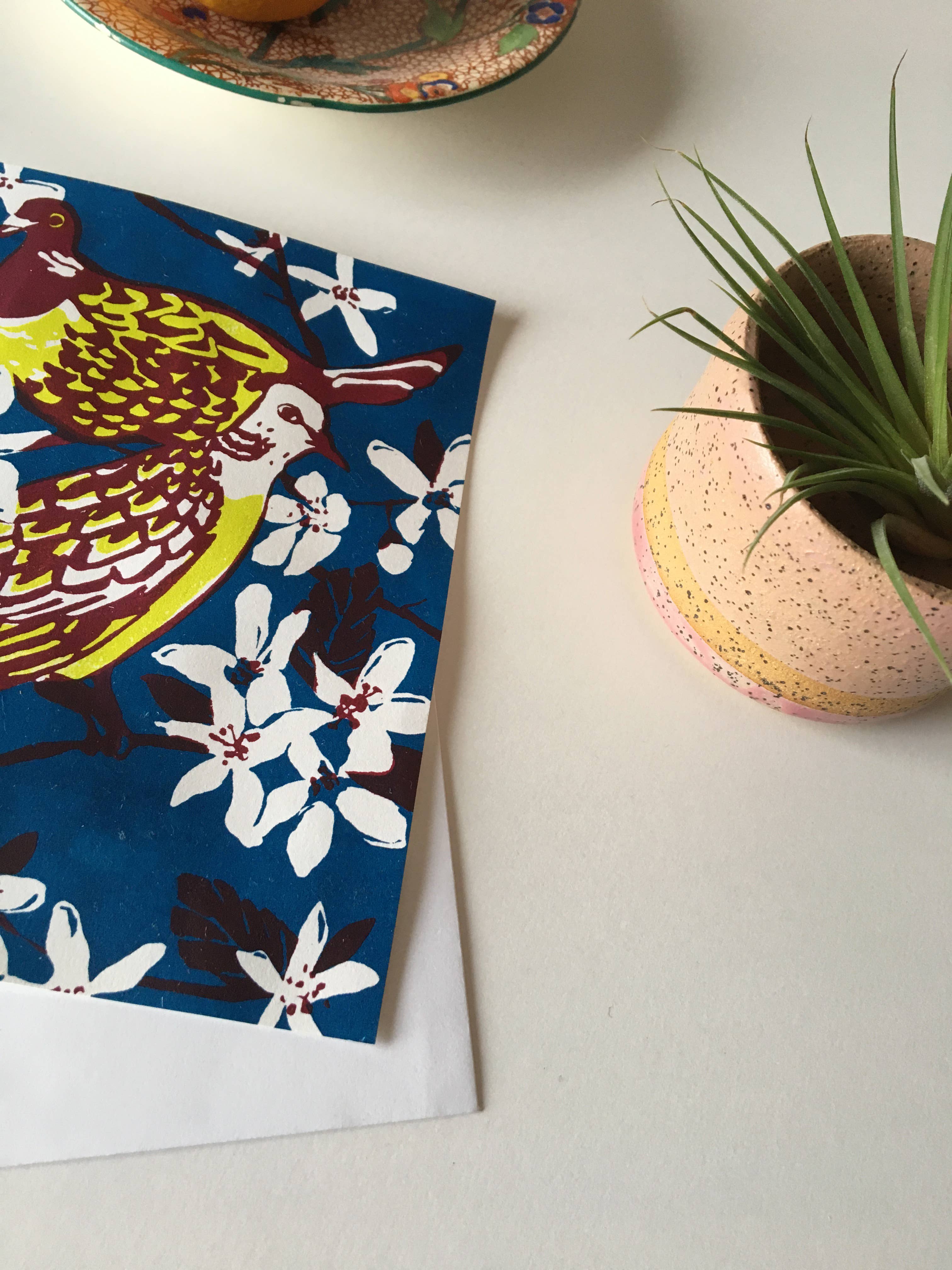 Kathie Studio - Vendita all'ingrosso Biglietti di auguri generici - Biglietto serigrafico con motivo tartaruga colombe1