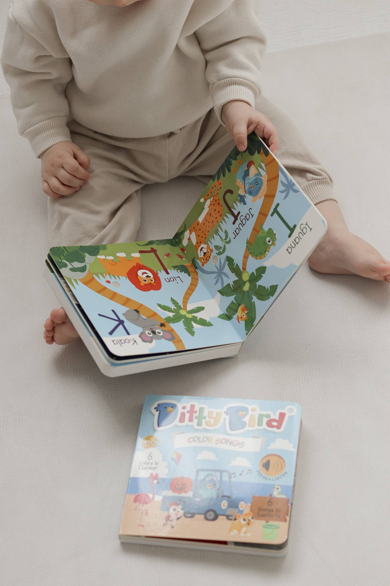 Ditty Bird - Wholesale Baby & Toddler Book (0-2) - Fun Alphabet | ABC Song | Ditty Bird Baby Sound Book USB-C13