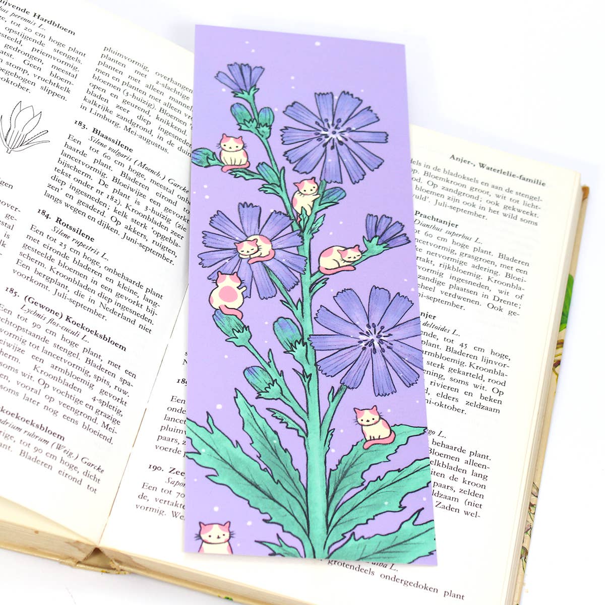 PONY PEOPLE - Wholesale Bookmark - Chicory Cats XL Bookmark4