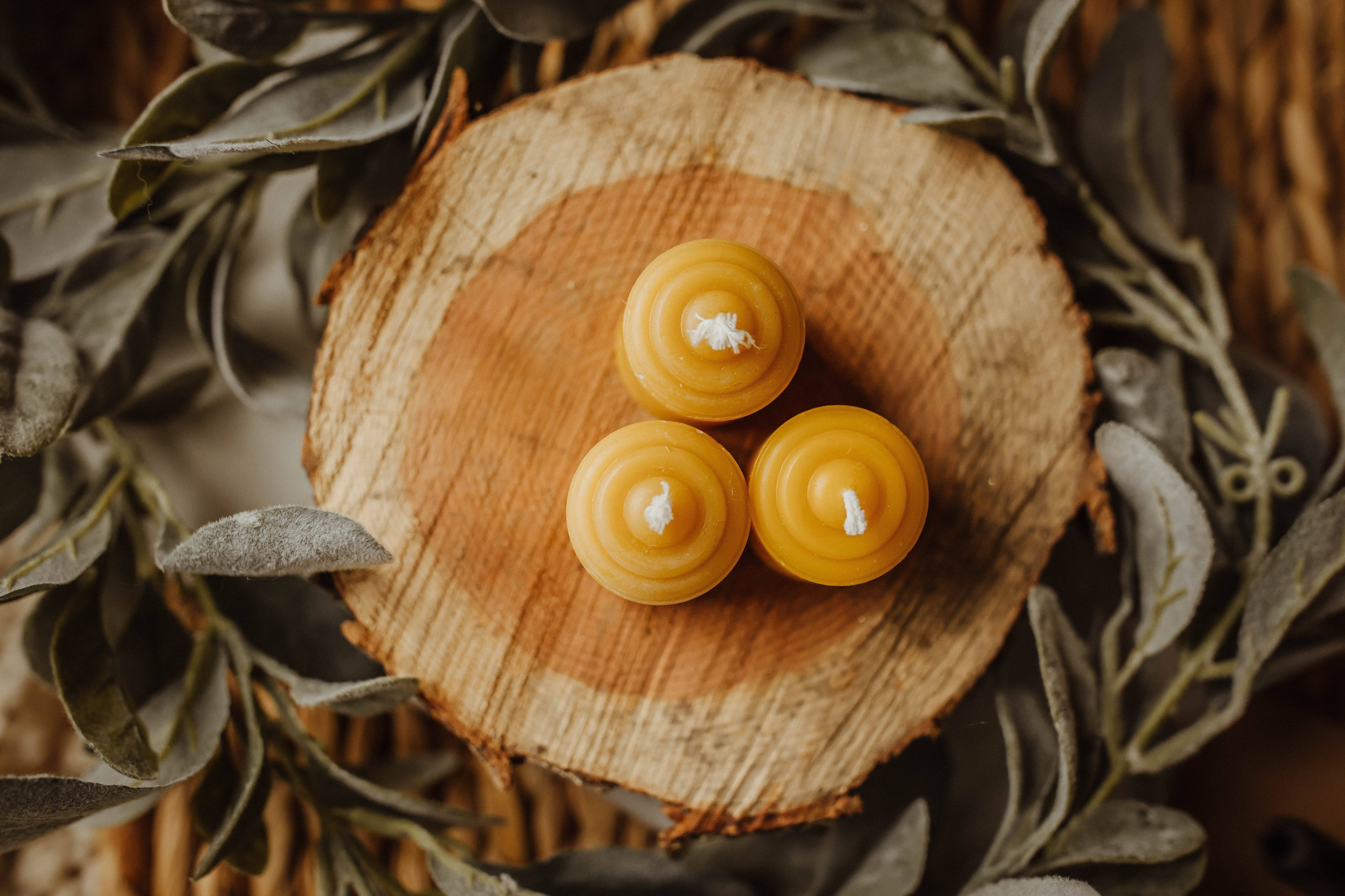 The Holton Homestead – Engroshandel Gavelys – Små bivoks votivlys1