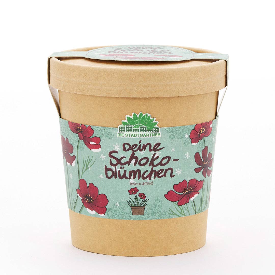 TDJ Stadtgärtner GmbH – Engroshandel Plantefrø – Chokoladeblomster i kop – dyrkningssæt1