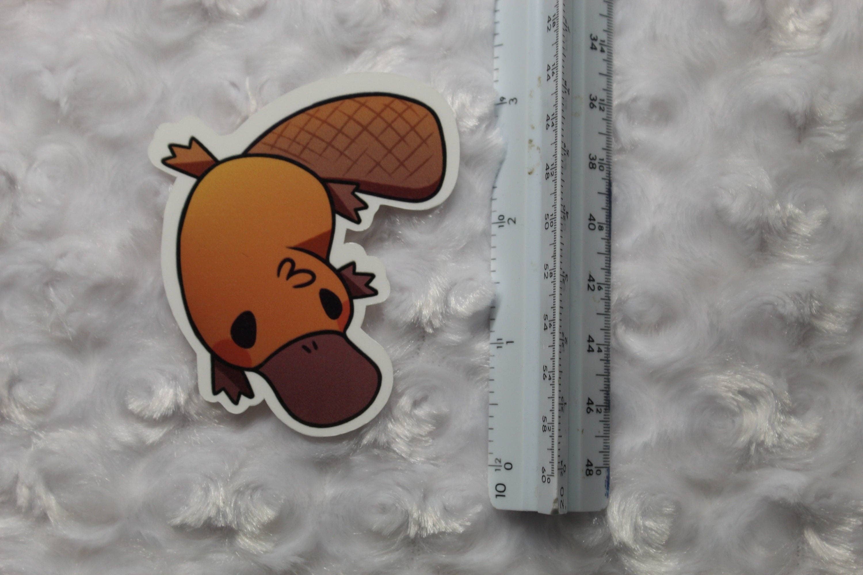 Mega Kawaii Cuties - Wholesale Sticker - Platypus Sticker3