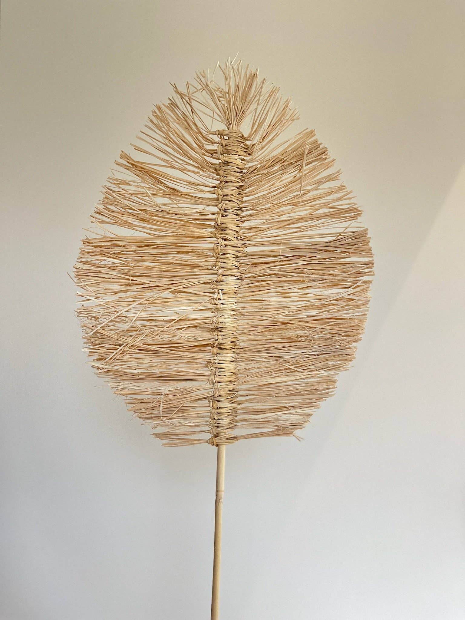 Willow+Wicker - Wholesale Dried/Pressed Flowers - Grass Palm Leaf2