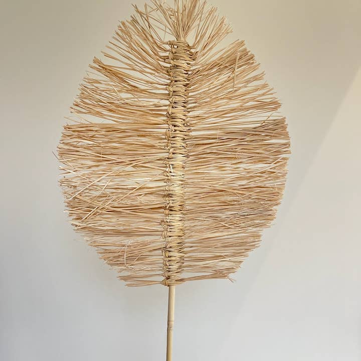 Willow+Wicker - Wholesale Dried/Pressed Flowers - Grass Palm Leaf2