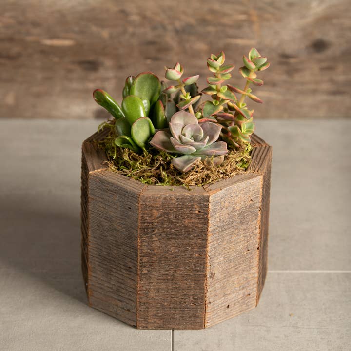 Love Reclaimed - Wholesale Planter Box - Geometric Reclaimed Wood Planter4