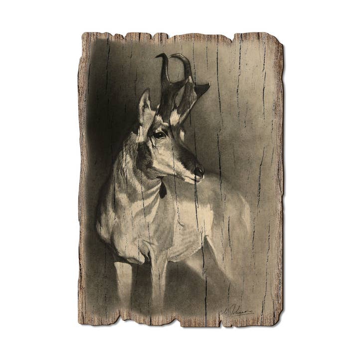 DaydreamHQ - Wholesale Postcard - Perfect Pronghorn - Wood Rustic Edge Postcards & Magnets0
