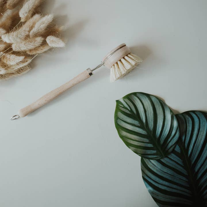Zero Waste MVMT - Wholesale Cleaning Brush - Wooden Dish Brush with Replaceable Head (READ OPTIONS)