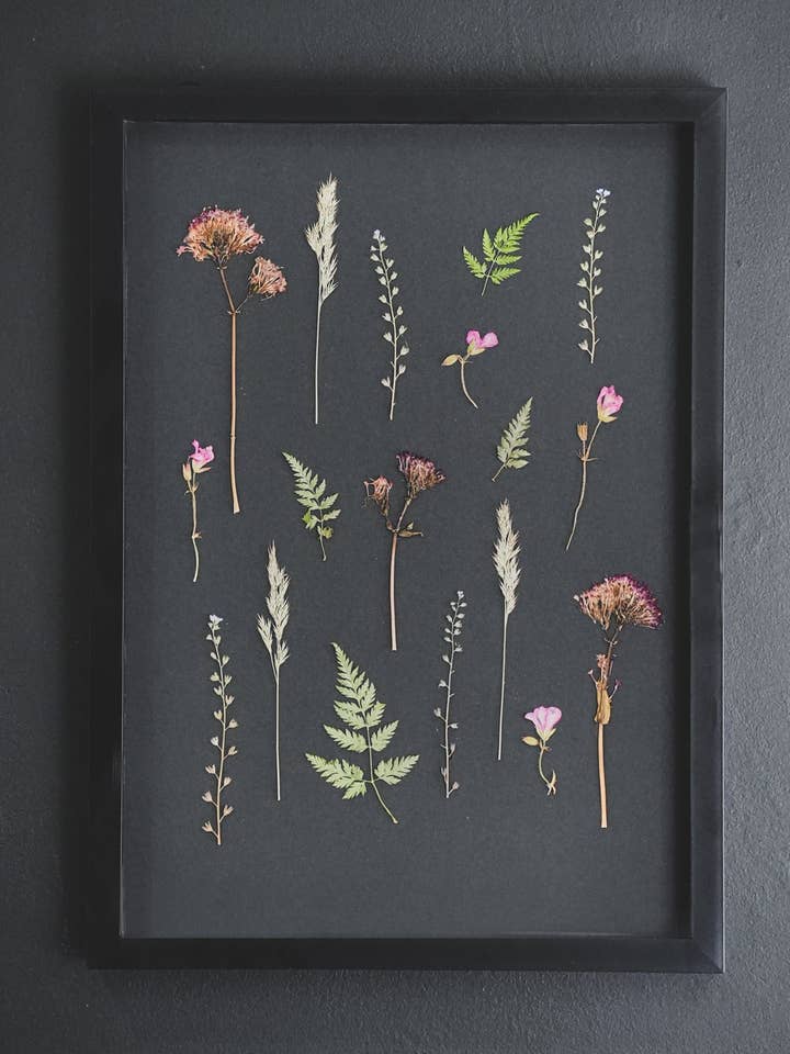 Shadow Garden – Impresión Giclée enmarcada en negro A3: Arreglo de flores prensadas para venta al por mayor de Coultura