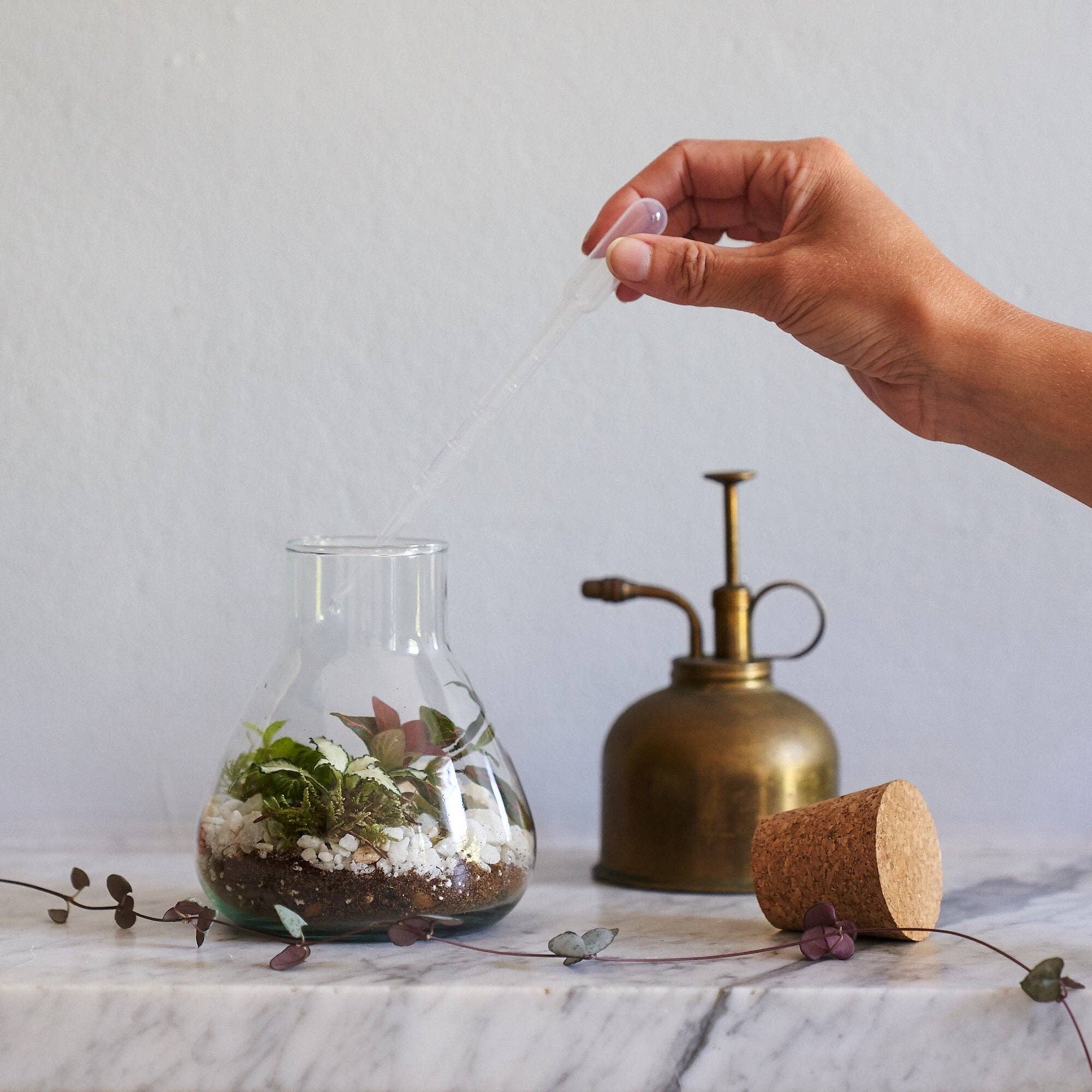 Botanique Workshop - Wholesale DIY Craft Kit - Terrarium Making Kit5