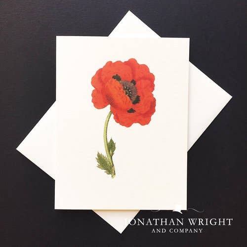 Brilliant Poppy Boxed Set of 8 for wholesale by Jonathan Wright and Company