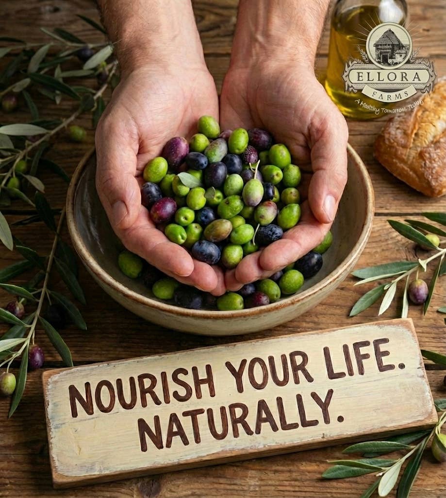 ELLORA FARMS - Wholesale Olive Oil - Greek Extra Virgin Olive Oil, Traceable, Single Estate, 34oz7