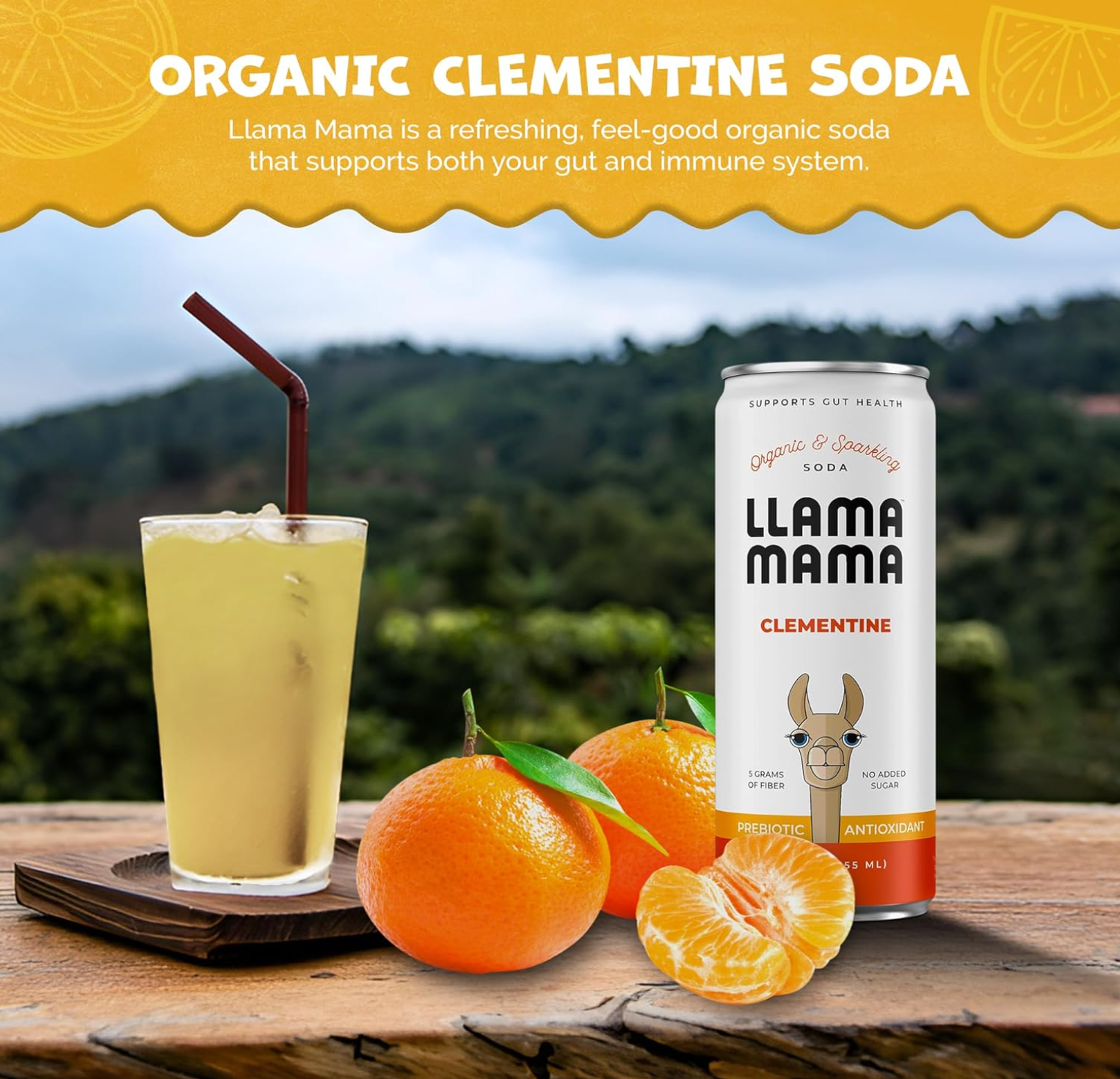 Llama Mama - Wholesale Soda/Carbonated Drink - Clementine 2