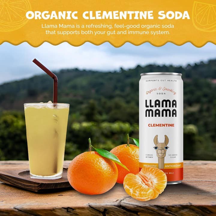 Llama Mama - Wholesale Soda/Carbonated Drink - Clementine 2