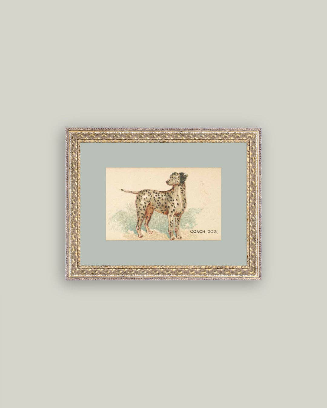 Petal Lane Home - Wholesale Art Print - Dalmation Framed Antique Art2
