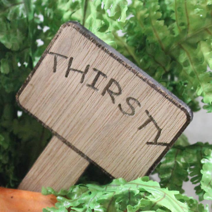 Thirsty - Pflanzenpfahl aus Holz für den Großhandel von Raven Design