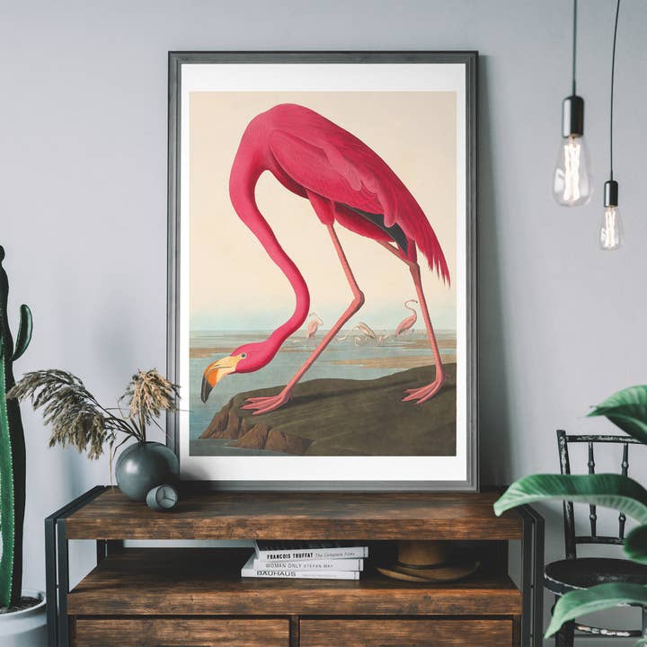Ink & Drop - Wholesale Art Print - American Flamingo Vintage Antique Bird Print