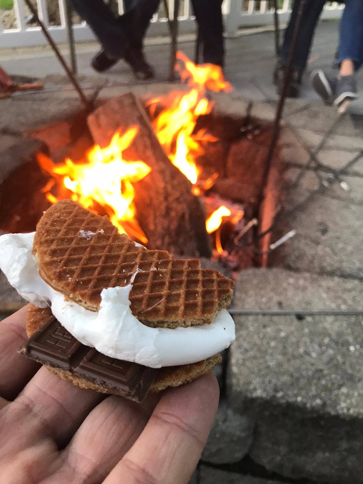 Dutch Waffle Company Stroopwafel Cookie - Wholesale Cookie - 8-Pack Gluten Free Caramel Stroopwafel cookie - snack (96ct)6