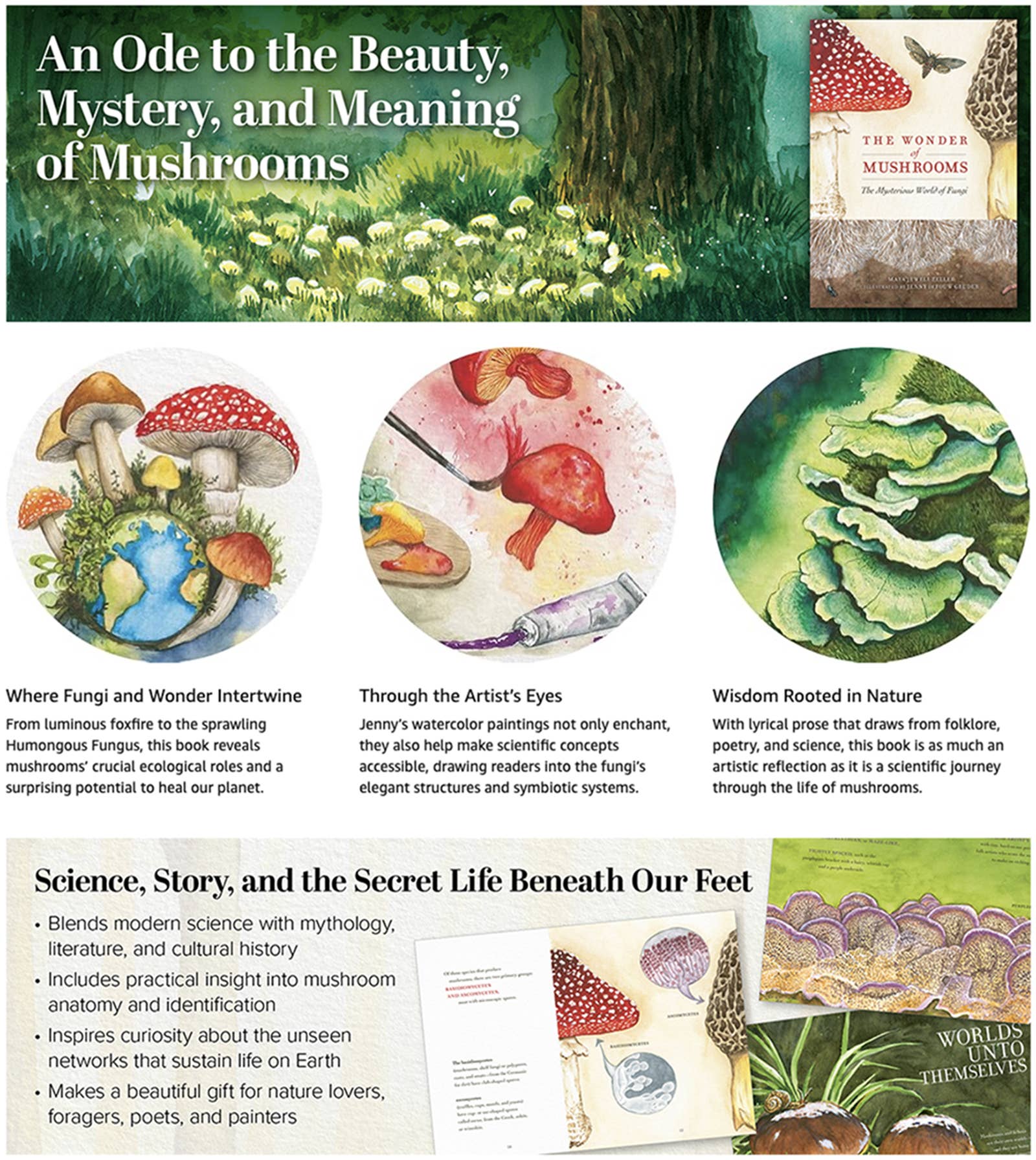 AdventureKEEN - Wholesale Nature & Outdoors - Wonder of Mushrooms13