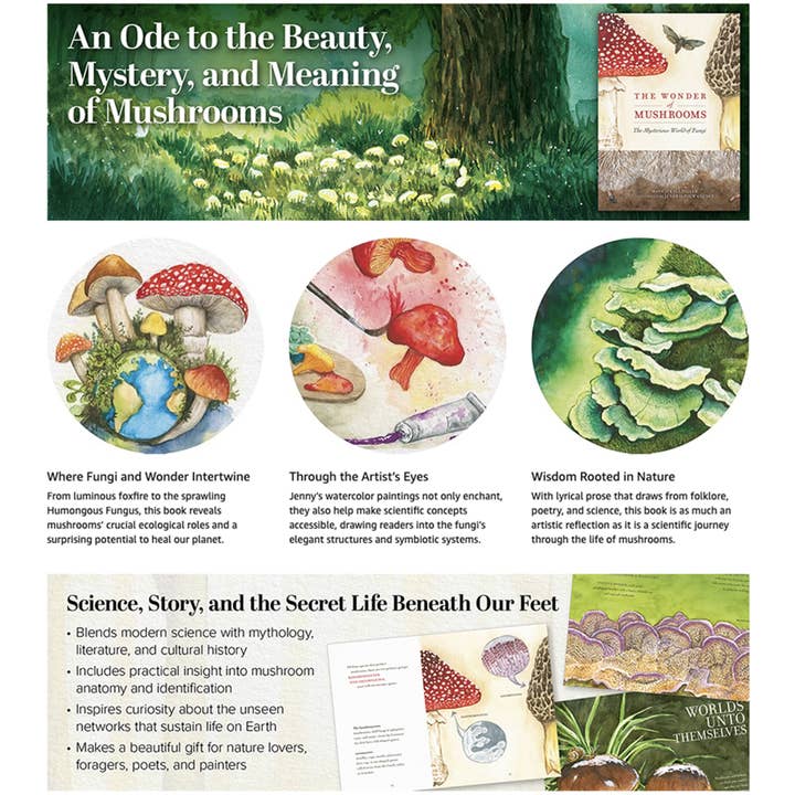 AdventureKEEN - Wholesale Nature & Outdoors - Wonder of Mushrooms13