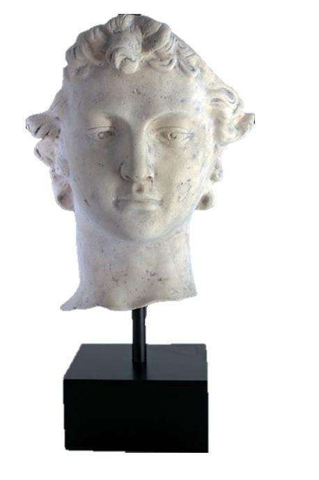 LM Treasures - Wholesale Sculpture - Stone David Head Life Size Statue