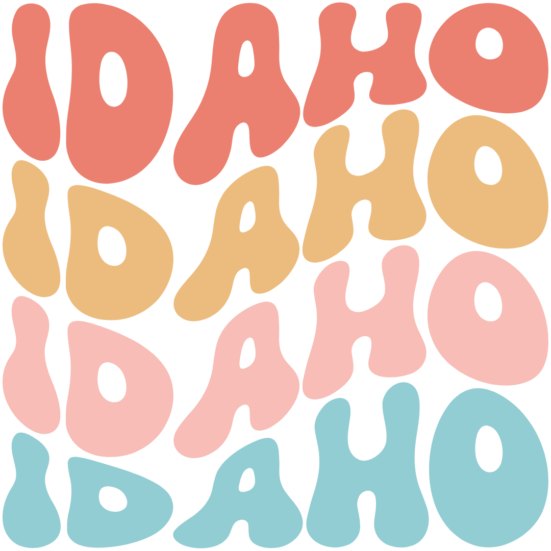 Daisy Mae Designs - Vente Aimants - Tous les 50 États Aimant Fort Acrylique Police Rétro – 2"x2"11