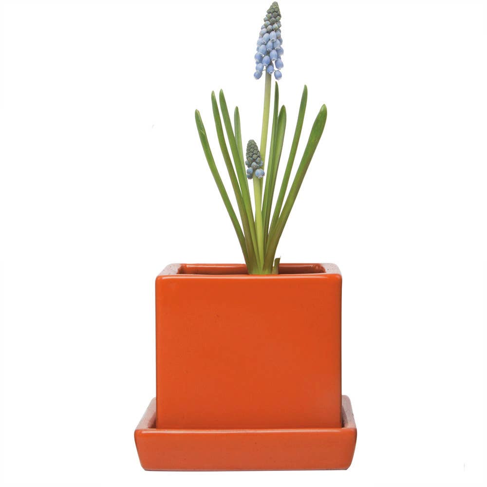 Chive - Wholesale Plant Pot - Cube Pot With Saucer And Drainage Hole 60 Plus Colors21