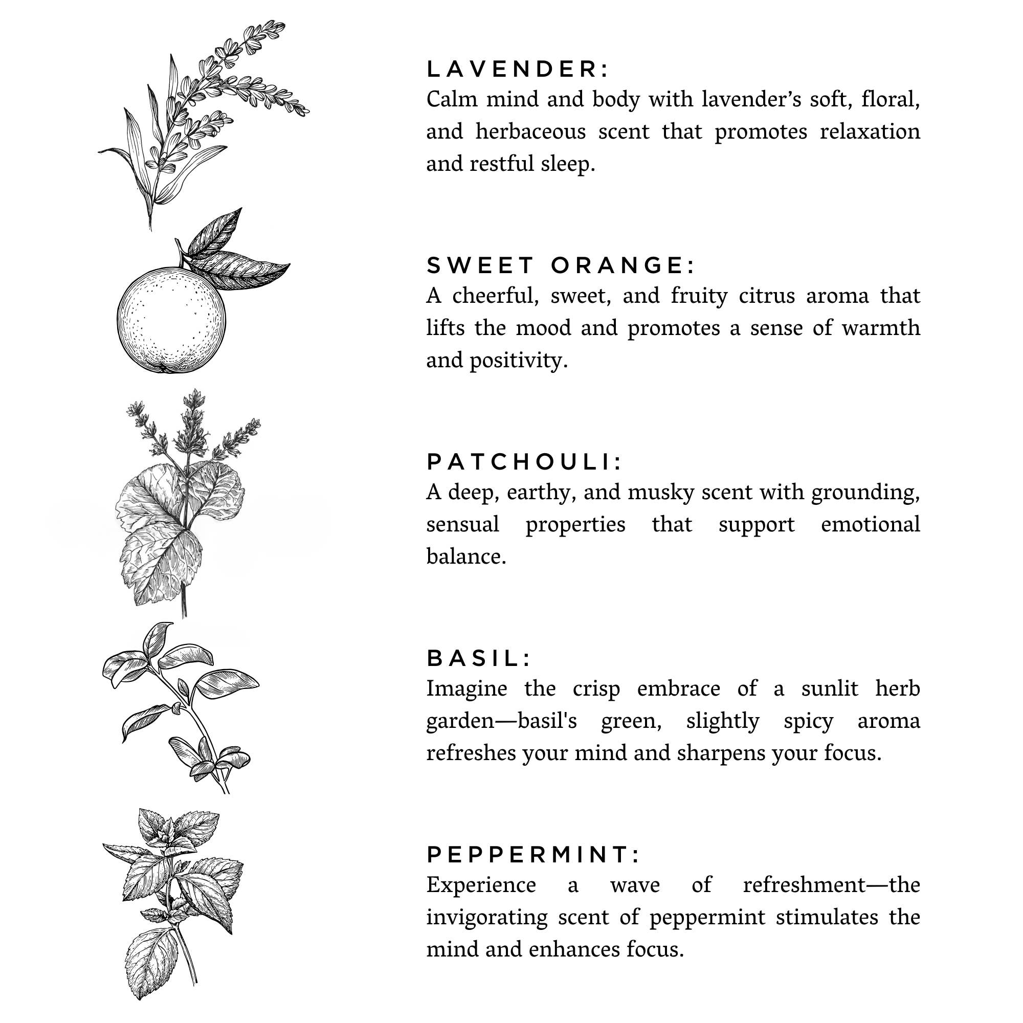 Slow North - Wholesale Bath Salts - Bath Salts |  Revive - Gift Idea3