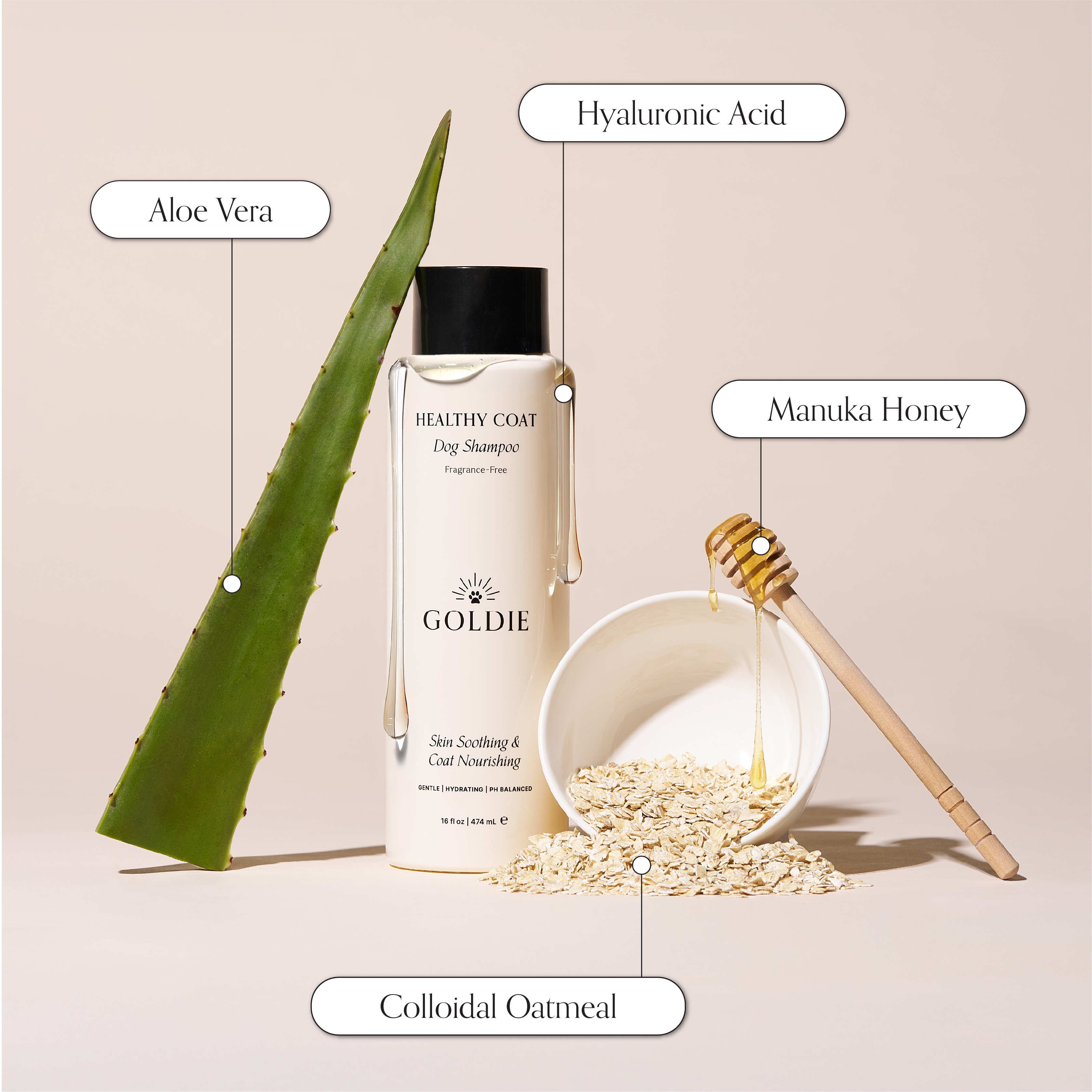 Goldie - Wholesale Pet Shampoo - Dog - Healthy Coat1