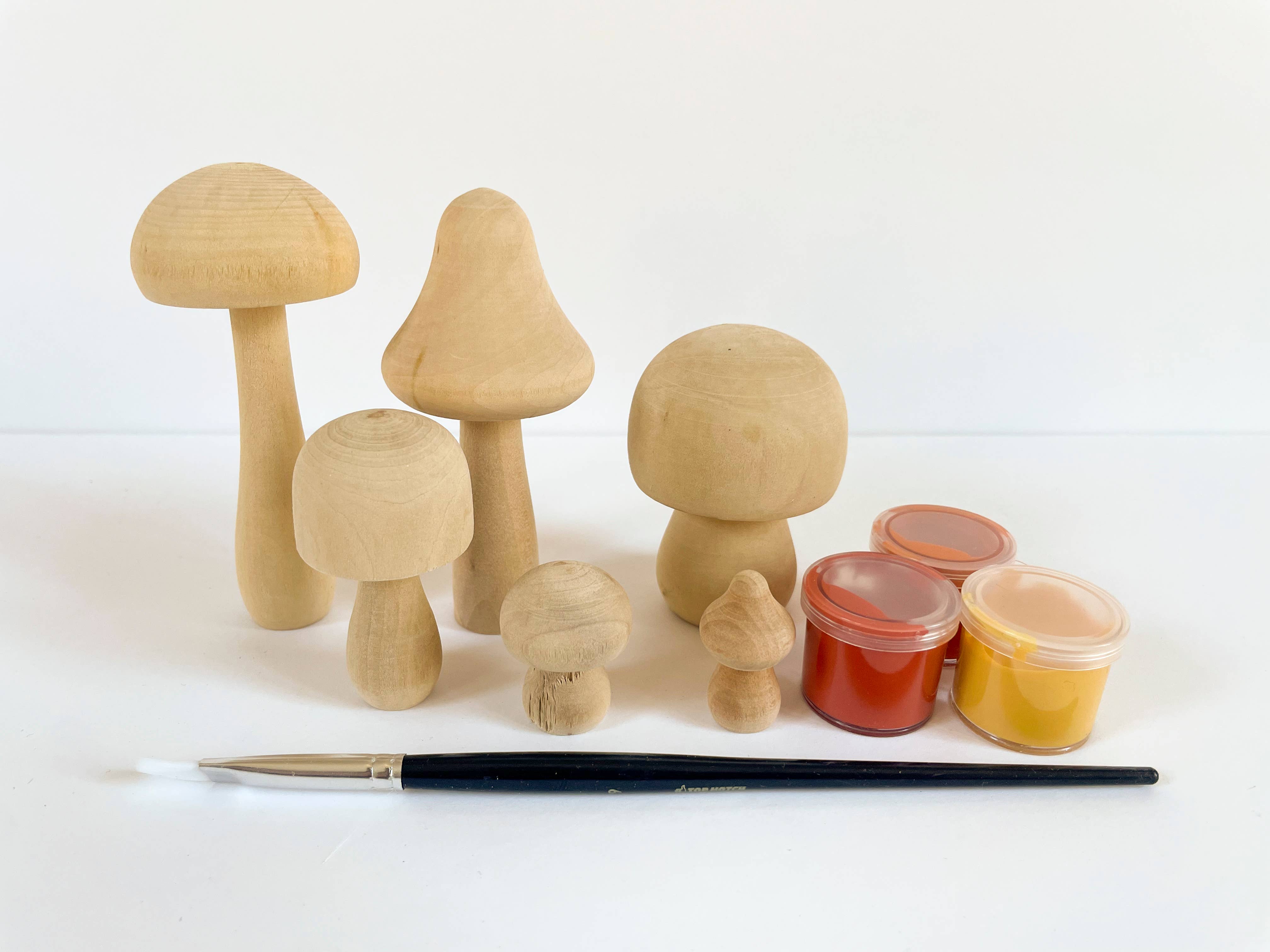 Bramble Workshop - Wholesale DIY Craft Kit - DIY Painted Mushroom Kit- earthy4