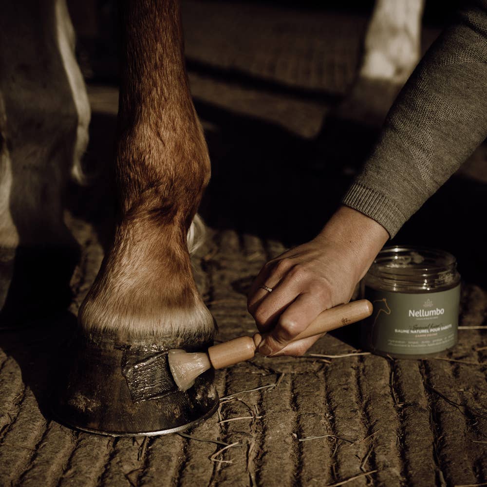 Nellumbo - Wholesale Pet Brush - Cat/Dog - Brush Ointment Hoof Balm2