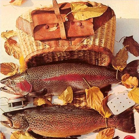 Impression d'art AZ-257 Truite de la Montagne Blanche pour la vente par Found Image Press