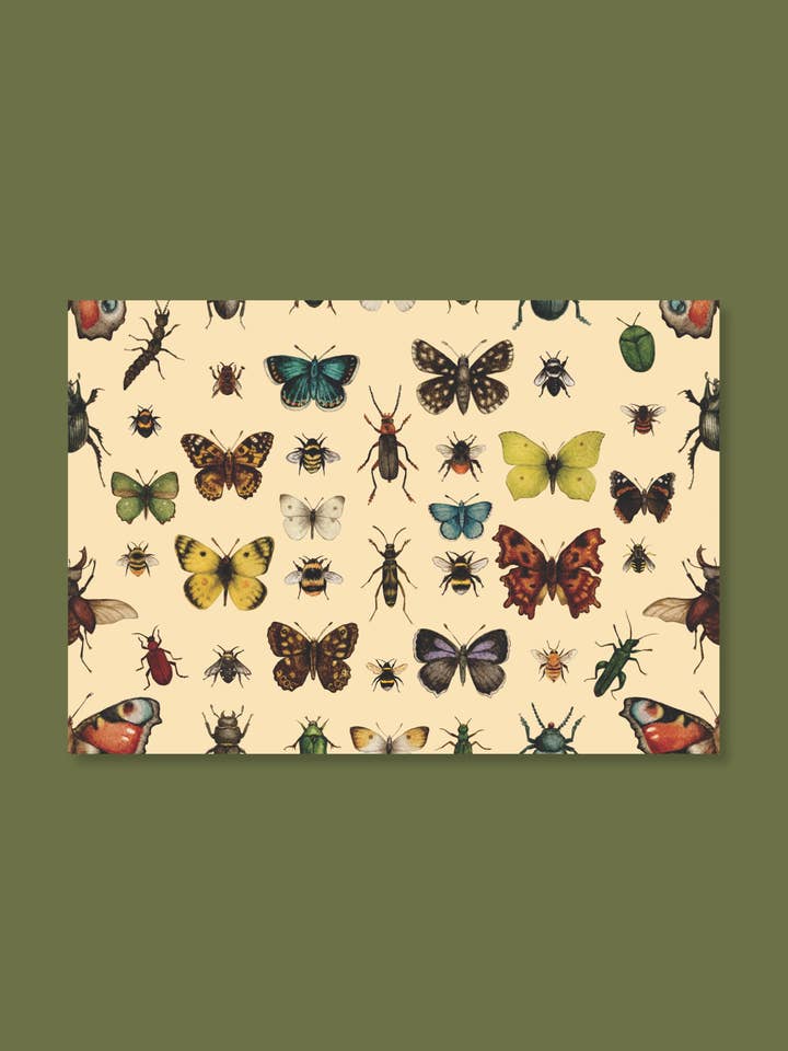 Insekten der UK Geschenkpapierbögen für den Großhandel von Holly Sweet illustration