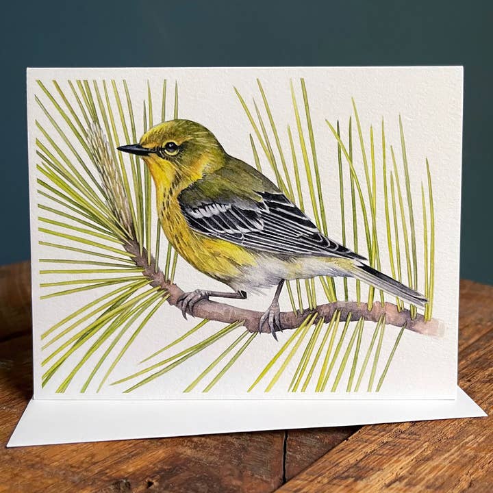 Pine Warbler - Blank Note Card for wholesale by Amy Shawley Paquette