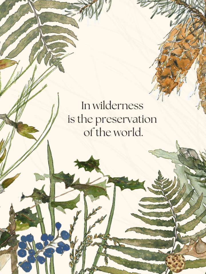 Wilderness | World for wholesale by Leafy Lexicon