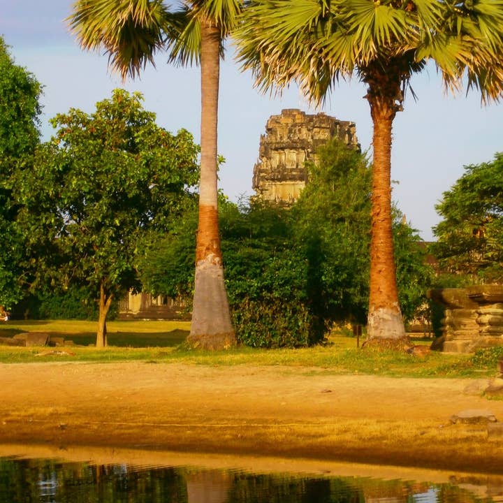 BoTree Seasonings – wholesale Sugar/Sweetener – Palmyra Flower Sugar - Natural Sweetener 200g3